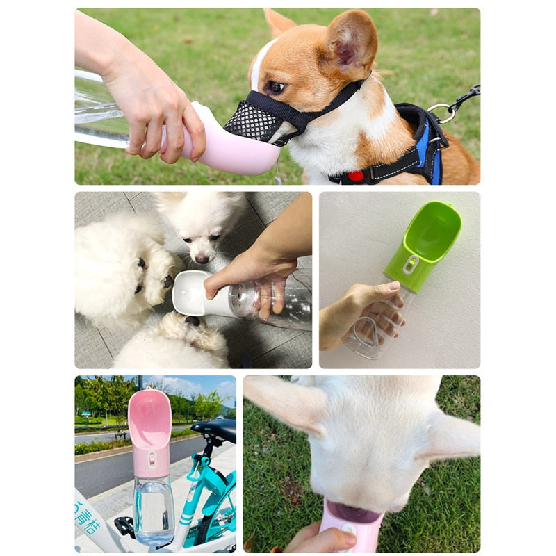 Portable Pet Water Bottle & Feeder