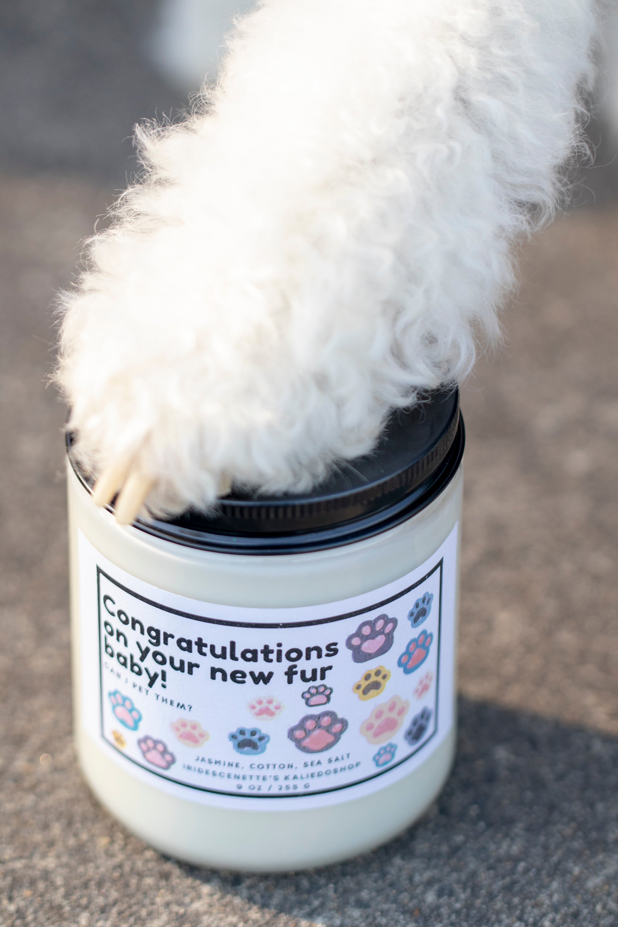 Congratulations On Your New Fur Baby! Candle